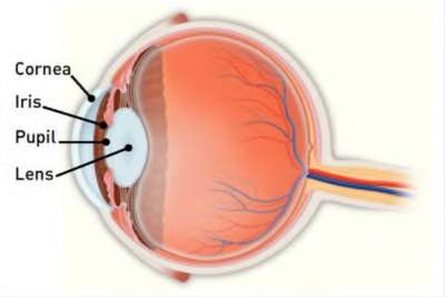 Corneal-Diagram-400x267